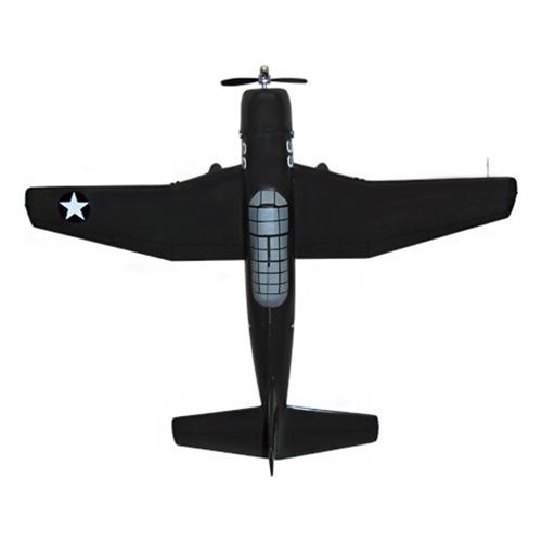 Design Your Own A-31 Custom Aircraft Model - View 6