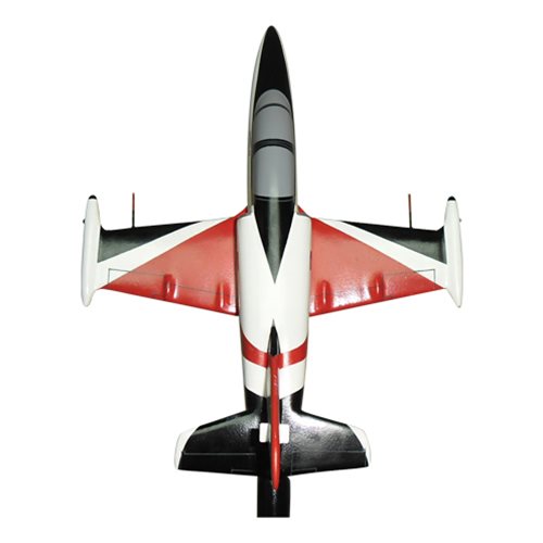 L-39C L-39 Albatros Custom Airplane Model Briefing Stick - View 4