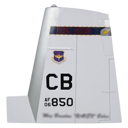 41 FTS T-6 Airplane Tail Flash - View 2