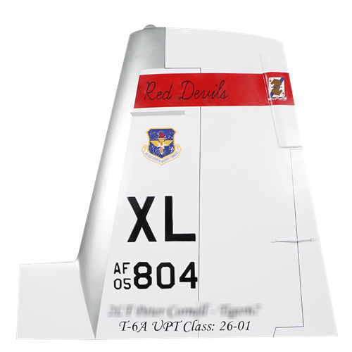 434 FTS T-6 Airplane Tail Flash - View 2