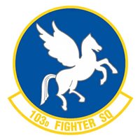 103 FS A-10 Airplane Tail Flash