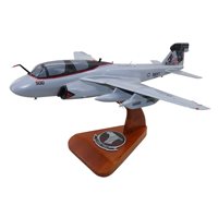 VAQ-141 EA-6B Custom Airplane Model 