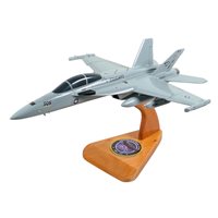 VAQ-139 EA-18G Custom Airplane Model 