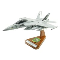 VAQ-209 EA-18G Custom Airplane Model 