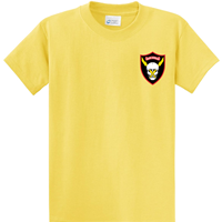 493rd FS Shirts 