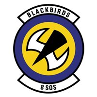 8 SOS C-130 Airplane Tail Flash