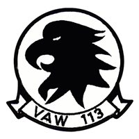 VAW-113 E-2 Custom Airplane Briefing Stick