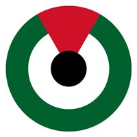 UAE Air Force C-17 Airplane Tail Flash