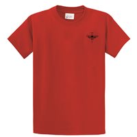 427th RS Shirts 