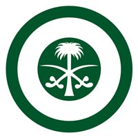 RSAF C-130H Hercules Custom Airplane Model Briefing Sticks