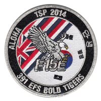 391 EFS TSP 2014 Patch 