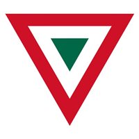 Mexican Air Force T-6 Airplane Tail Flash