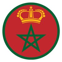 Royal Moroccan Air Force T-6C Custom Airplane Tail Flash