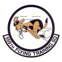 559 FTS F-4E Phantom II Custom Airplane Briefing Sticks