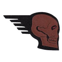 190 FS Desert Skull Patch