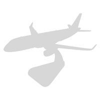 Design Your Own Spirit Airlines Custom Airplane Model