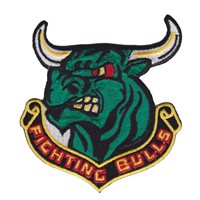  469 FTS Fighting Bulls Patch