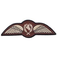 IQAF 9 FS Wing Patch
