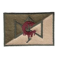 C Troop 4-6 CAV Carnage Patch