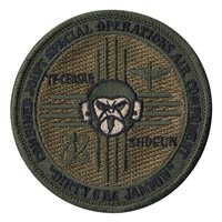B 2-245 AVN REGT Det 6 OCP Patch