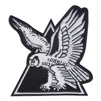 17 WPS Triangle Friday Patch