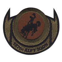 187 AS Heritage OCP Patch