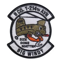 B Co 1-214 AVN Big Windy Patch