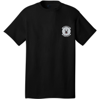 421st FS Shirts 