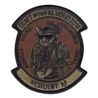 934 EAES CCATT Resilient OCP Patch