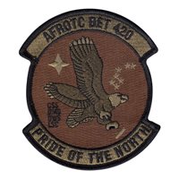 AFROTC Det 420 University of Minnesota OCP Patch