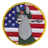 2 FRST Patch