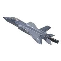 6 WPS F-35A Custom Airplane Briefing Stick