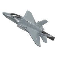 388 FW F-35A Custom Airplane Briefing Stick
