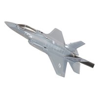 421 FS F-35A Custom Airplane Briefing Stick