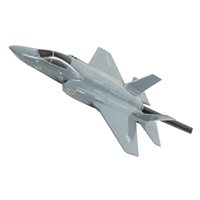 VMX-1 F-35B Custom Airplane Briefing Stick
