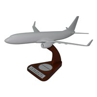 Design Your Own Continental Airlines Custom Aircraft Model