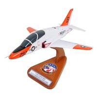 T-45 Custom Airplane Model