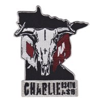 C Co, 834 ASB, 34 ECAB Patch