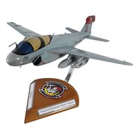 VMAQ-1 EA-6B Custom Airplane Model 