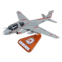 VAQ-132 EA-6B Custom Airplane Model 