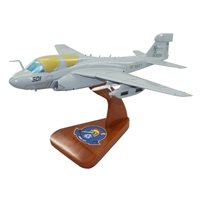 VAQ-131 EA-6B Custom Airplane Model 