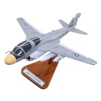VAQ-137 EA-6B Custom Airplane Model 