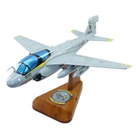 VAQ-138 EA-6B Custom Airplane Model 