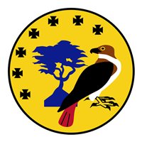 517 TRSS Friday Patch