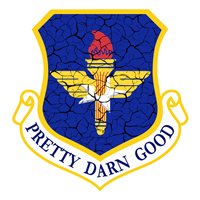 333 TRS Pretty Darn Good AETC Patch