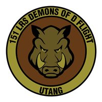 151 LRS Demons of the D Flight OCP Patch
