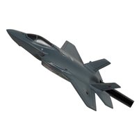 115 SQN F-35A Lightning II Briefing Stick