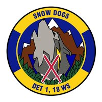 18 WS Detachment 1 Patch