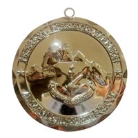 Peterson ALS Medallion Challenge Coin