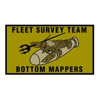Fleet Survey Team NWU Type III Patch